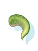 Petite's Tail .